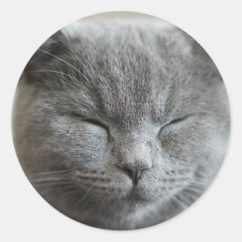 Aangepaste Schattigee Grijze Kitty Cat Foto Ronde Sticker