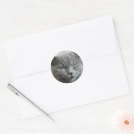 Aangepaste Schattigee Grijze Kitty Cat Foto Ronde Sticker