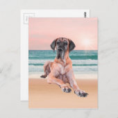 Aangepaste Schattigee Grote Deen Hond Zittend op h Briefkaart (Voorkant / Achterkant)