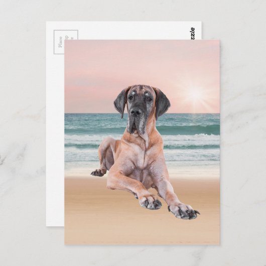 Aangepaste Schattigee Grote Deen Hond Zittend op h Briefkaart (Voorkant / Achterkant)