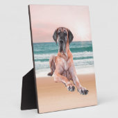 Aangepaste Schattigee Grote Deen Hond Zittend op h Fotoplaat (Zijkant)