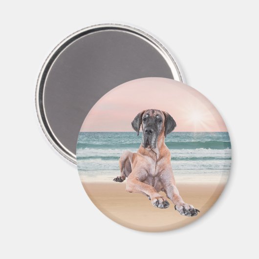 Aangepaste Schattigee Grote Deen Hond Zittend op h Magneet (Voorkant / Achterkant)