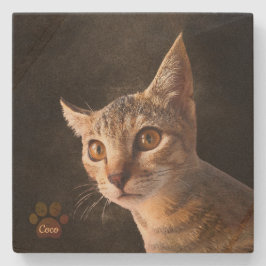 Aangepaste Schattigee Huisdier Kitten Kat Hond Fot Stenen Onderzetter