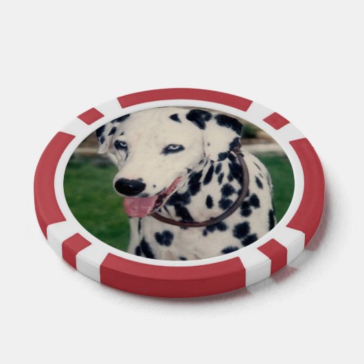 Aangepaste Schattigee huisdier vriend foto - Uploa Poker Chips (Enkel)