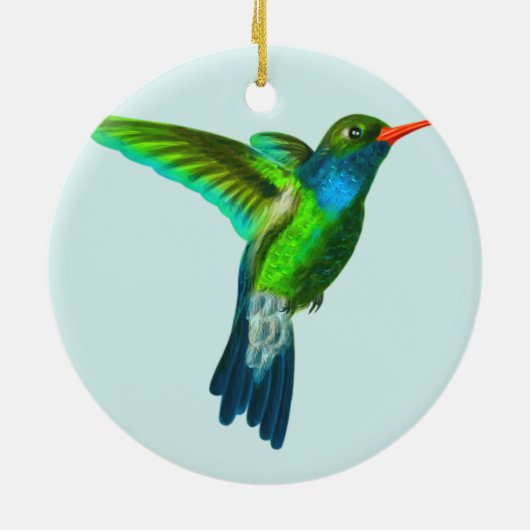 Aangepaste Schattigee kolibrie foto Ornament (Achterkant)