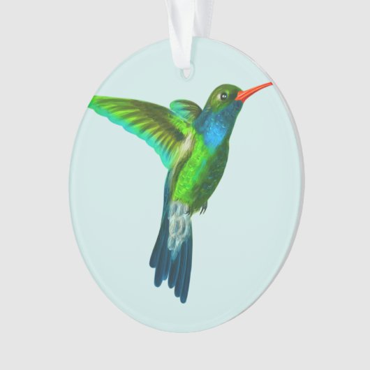 Aangepaste Schattigee kolibrie foto Ornament (voorkant)