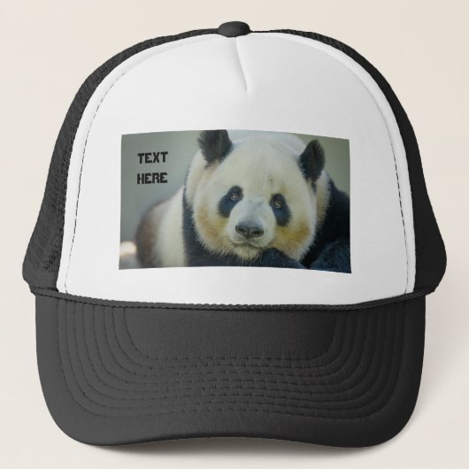 Aangepaste Schattigee panda op zoek naar eigen tek Trucker Pet (Voorkant)
