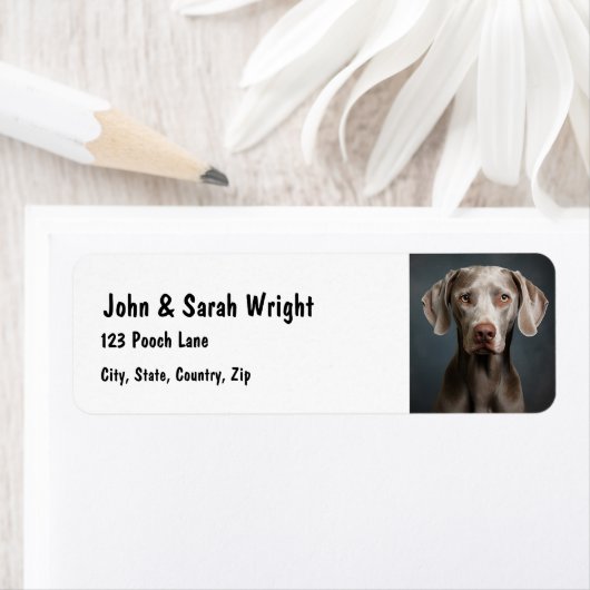 Aangepaste Schattigee Weimaraner Dog Adreslabel Etiket (Insitu)