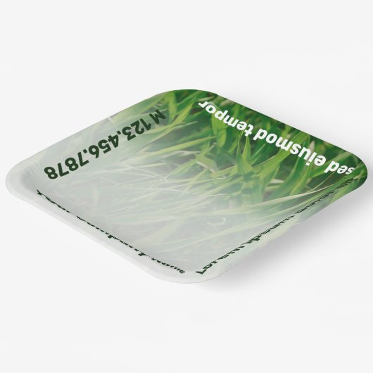 Aangepaste service voor speciale fotografie papieren bordje (Gebogen)