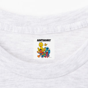 Aangepaste Sesamstraat Vrienden Kleding Labels