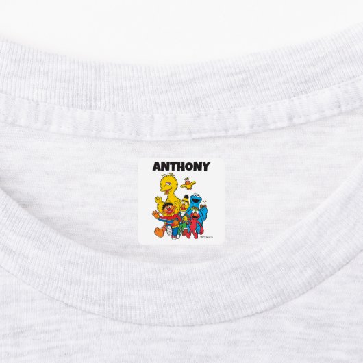 Aangepaste  Sesamstraat Vrienden Kleding Labels (Aangebracht)