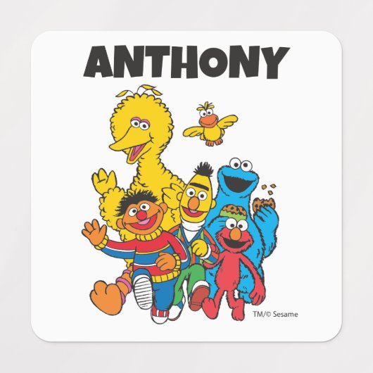 Aangepaste  Sesamstraat Vrienden Kleding Labels (Design 1)