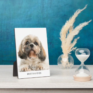 Aangepaste Shih Tzu Script Naam Pet Photo Fotoplaat