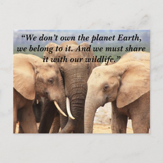 Aangepaste slogan / behoud olifant familie feestdagenkaart (Voorkant)