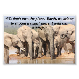 Aangepaste slogan/behoud olifant kudde sociaal foto afdruk