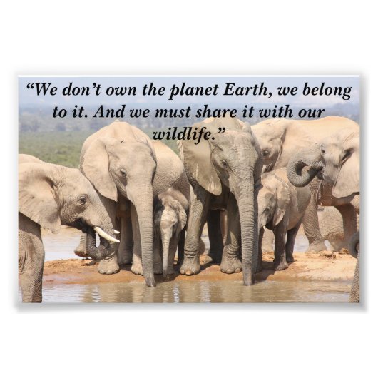 Aangepaste slogan/behoud olifant kudde sociaal foto afdruk (Voorkant)