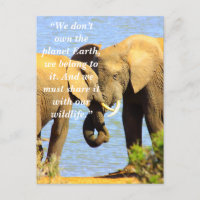 Aangepaste slogan / behoud olifant liefde