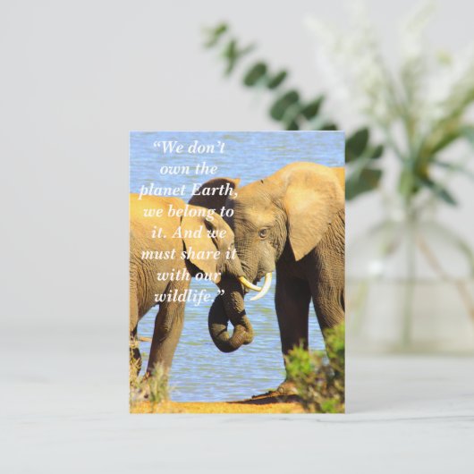 Aangepaste slogan / behoud olifant liefde feestdagenkaart (Staand voorkant)