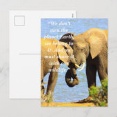 Aangepaste slogan / behoud olifant liefde feestdagenkaart (Voorkant / Achterkant)