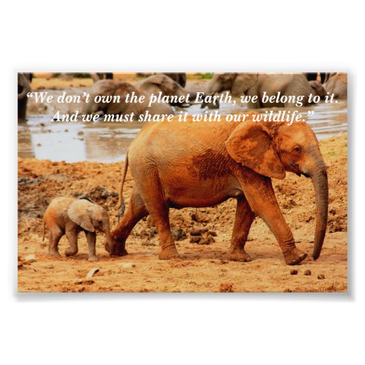 Aangepaste Slogan/Behoud olifant Moeder & Kalf Foto Afdruk (Voorkant)