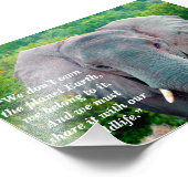 Aangepaste slogan / behoud olifant stier foto afdruk (Hoek)