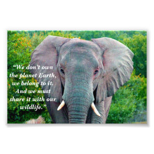 Aangepaste slogan / behoud olifant stier foto afdruk