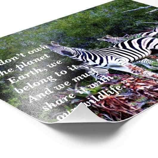 Aangepaste slogan/behoud Zebra Aloe Foto Afdruk (Hoek)