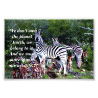 Aangepaste slogan/behoud Zebra Aloe