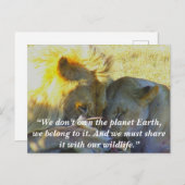 Aangepaste slogan/Conservation Lion Feast Feestdagenkaart (Voorkant / Achterkant)