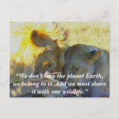 Aangepaste slogan/Conservation Lion Feast Feestdagenkaart (Voorkant)