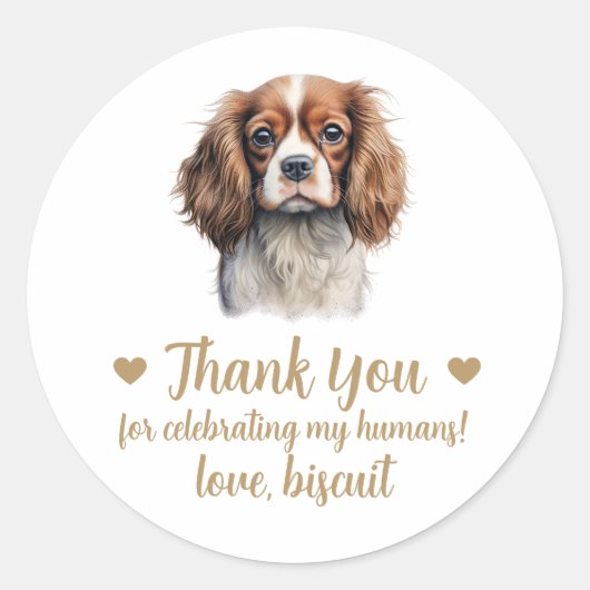Aangepaste Spaniel bruiloft gunst Stickers (Voorkant)