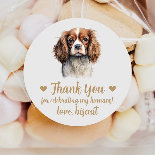 Aangepaste Spaniel bruiloft gunst Stickers