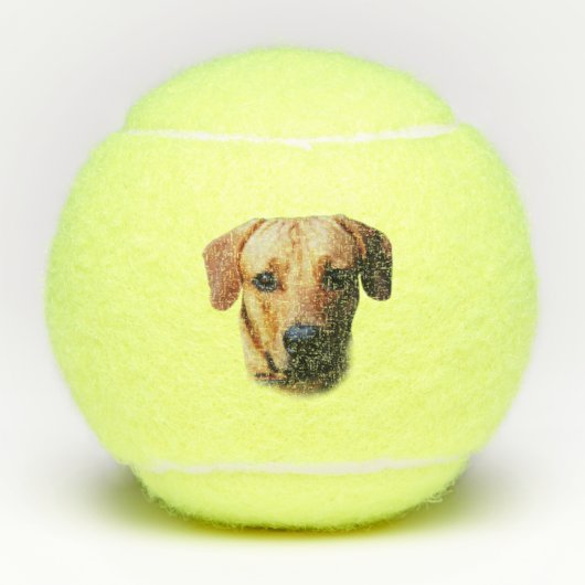 Aangepaste speciale Dog Tennis Balls Tennisballen (Voorkant)