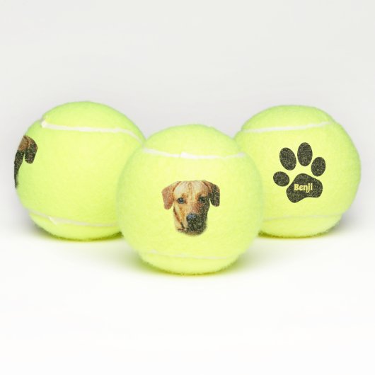 Aangepaste speciale Dog Tennis Balls Tennisballen (Multi)