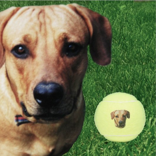Aangepaste speciale Dog Tennis Balls Tennisballen