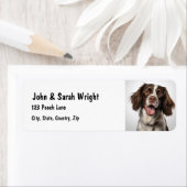 Aangepaste Springer Spaniel Dog Adres Label (Insitu)