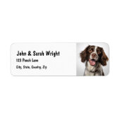 Aangepaste Springer Spaniel Dog Adres Label (Voorkant)