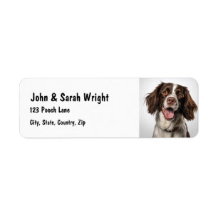 Aangepaste Springer Spaniel Dog Adres Label
