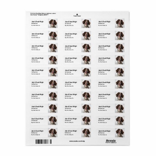 Aangepaste Springer Spaniel Dog Adres Label (Full Sheet)