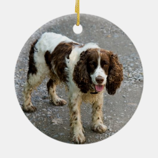 Aangepaste Springer Spaniel Hond Foto Kerst Krans Keramisch Ornament (Achterkant)