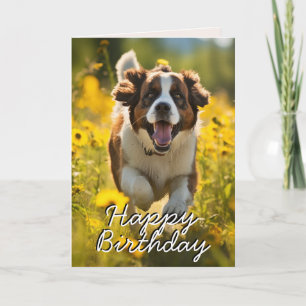 Aangepaste St. Bernard Happy Birthday Kaart