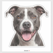 Aangepaste sticker voor huisdieren – gepersonalise (Vel)