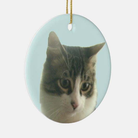 Aangepaste Tabby Kat Foto op Lichtblauw Keramisch Ornament (Rechts)