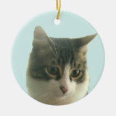Aangepaste Tabby Kat Foto op Lichtblauw Keramisch Ornament (Voorkant)