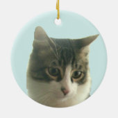 Aangepaste Tabby Kat Foto op Lichtblauw Keramisch Ornament (Achterkant)