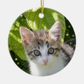 Aangepaste Tabby Kitten Foto Keramisch Ornament (Voorkant)