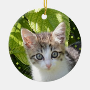 Aangepaste Tabby Kitten Foto Keramisch Ornament