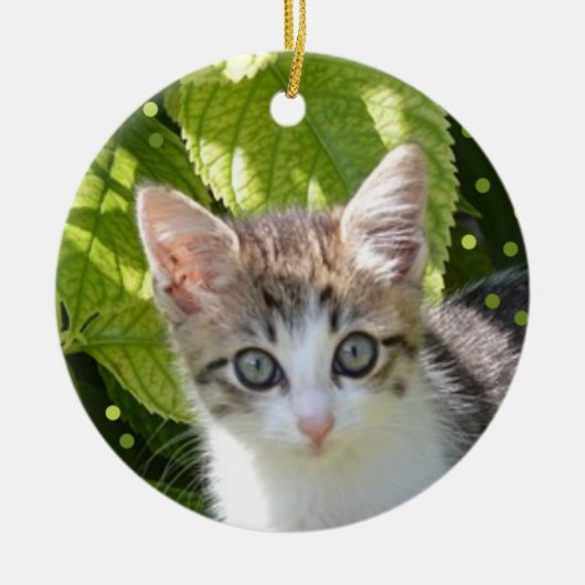 Aangepaste Tabby Kitten Foto Keramisch Ornament (Voorkant)