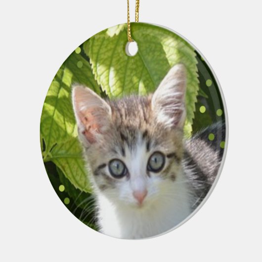 Aangepaste Tabby Kitten Foto Keramisch Ornament (Links)