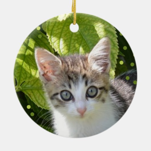 Aangepaste Tabby Kitten Foto Keramisch Ornament (Achterkant)